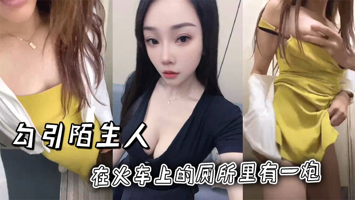 勾引陌生人在火车上的厕所里有一炮的封面图