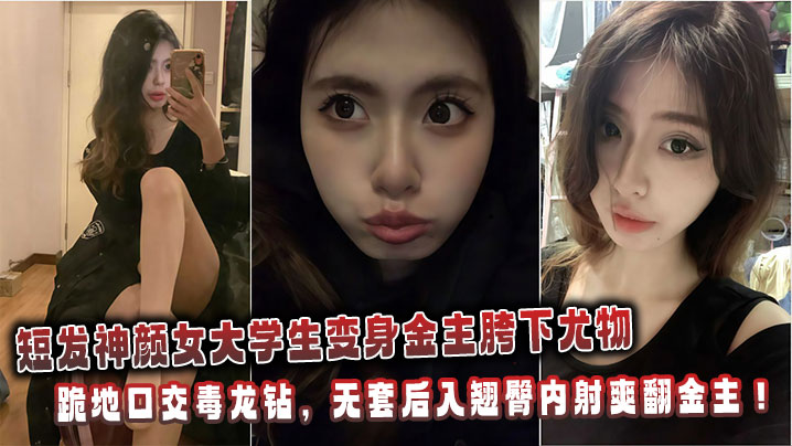 短发神颜女大学生变身金主胯下尤物：跪地口交毒龙钻，无套后入翘臀内射爽翻金主！